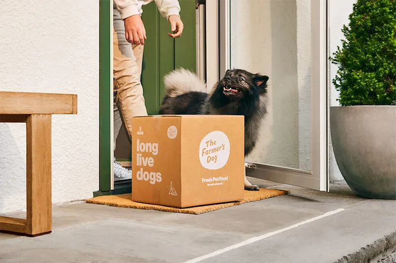 Viral-Ready Unboxing Pet Harpidetza kaxa korrugatuak